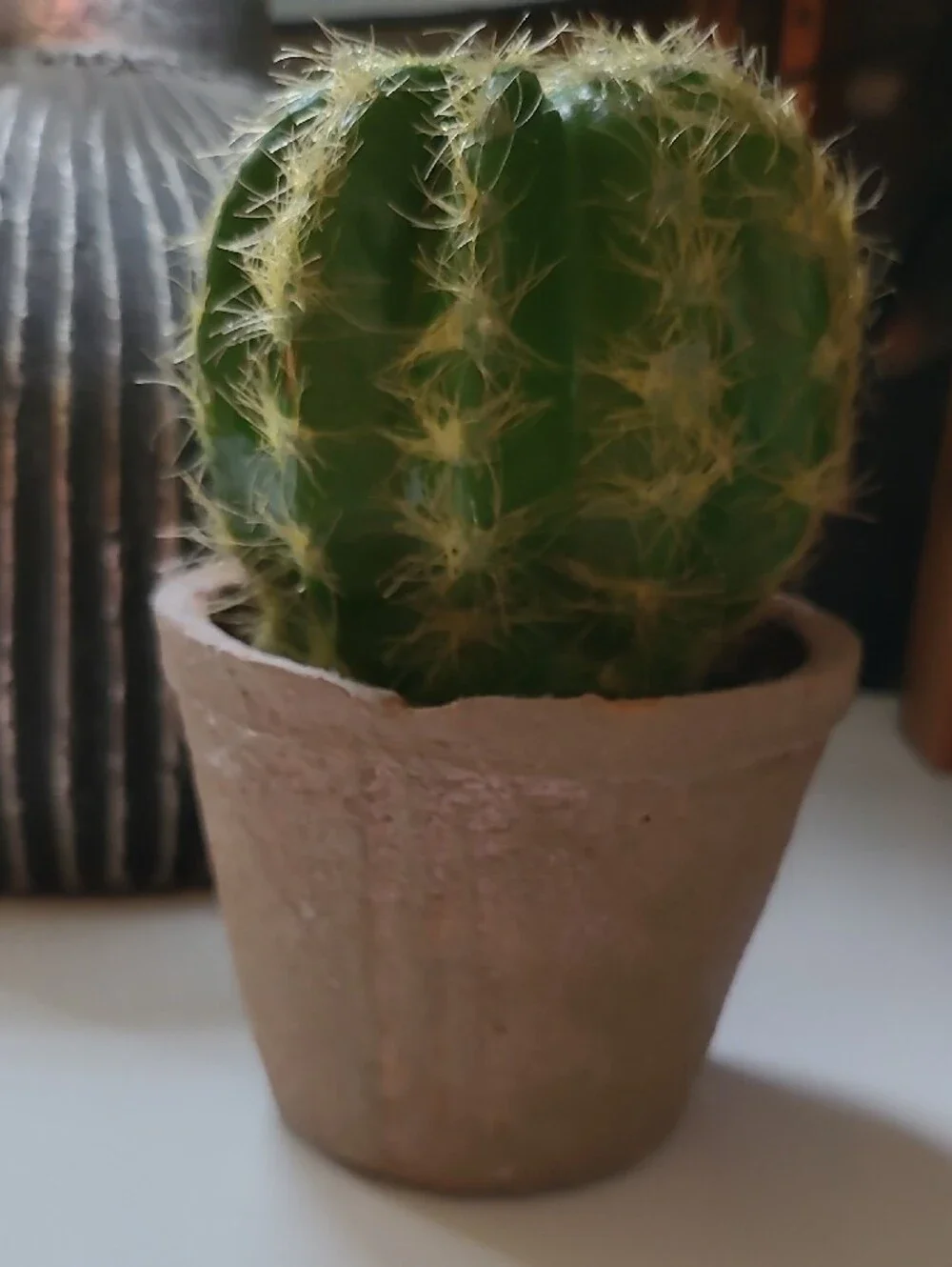 CB2 Faux Green Potted Cactus